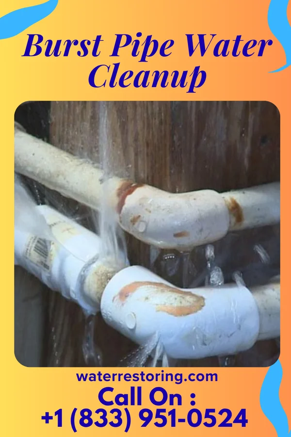 Burst Pipe Water Cleanup in White Lake, NC