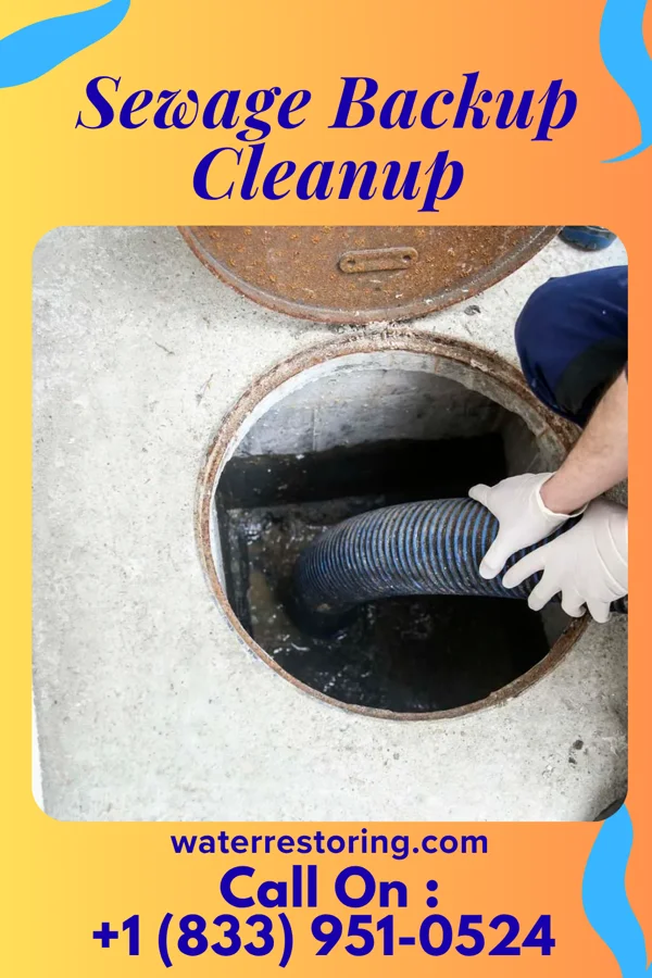 Sewage Backup Cleanup in White Lake, NC
