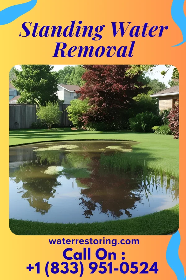 Standing Water Removal in White Lake, NC